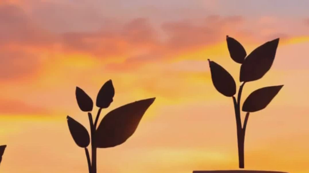 Why the Rich Get Riche